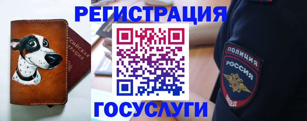 временная регистрация в квартире в Михайловке
